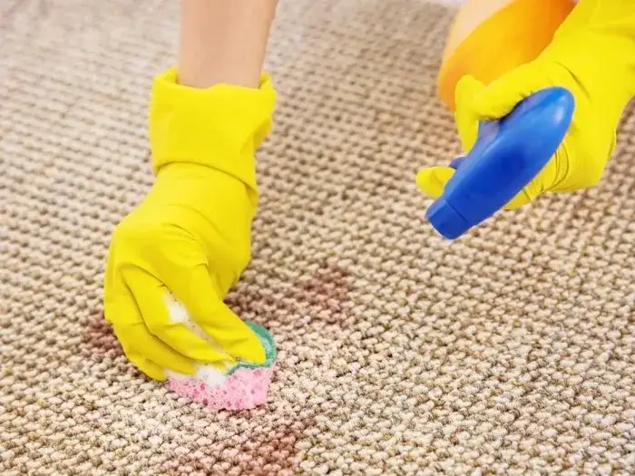 Zdjęcie Jak usunąć plamę z krwi z kanapy? Skuteczne metody