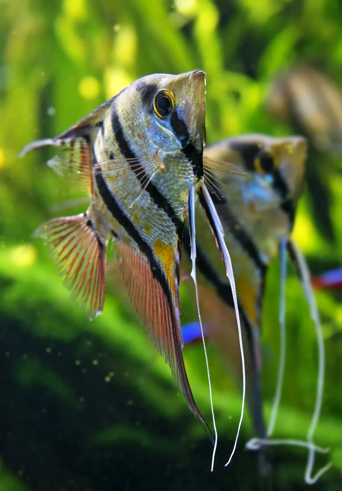 Zdjęcie Co to jest skalar? Zrozumienie pojęcia w matematyce i fizyce