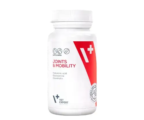 Zdjęcie Co na stawy dla psa – skuteczne suplementy i porady dla zdrowia stawów