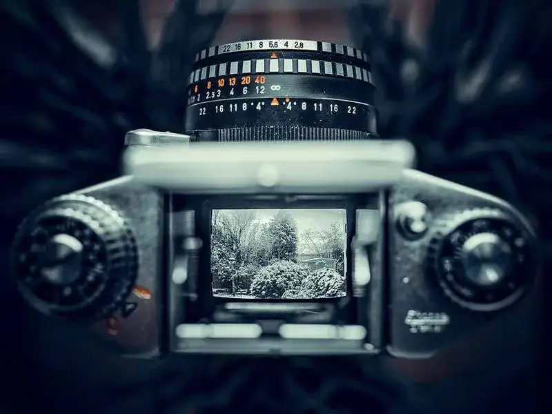 Zdjęcie Jak zrobić ostre zdjęcie: 5 kluczowych wskazówek dla każdego fotografa