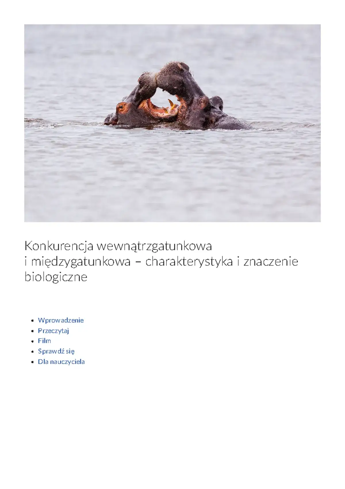 Zdjęcie Konkurencja w biologii: jak organizmy rywalizują o przetrwanie