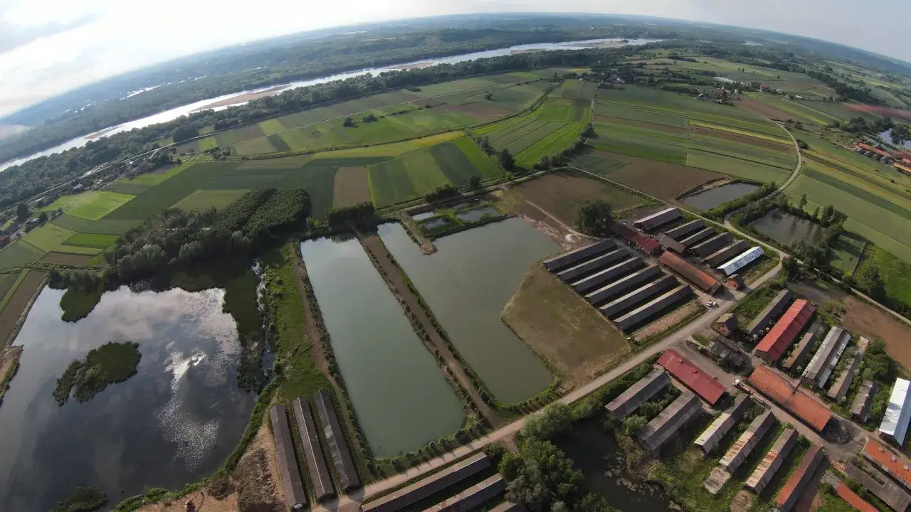 Zdjęcie Łowisko Chwałowice: najlepsze miejsca na wędkowanie i ryby