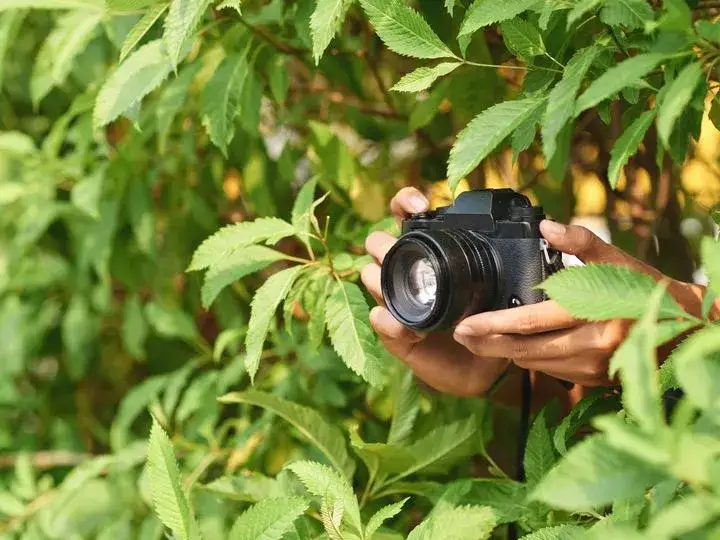 Zdjęcie Jasność obiektywu w fotografii – co to jest i dlaczego jest ważna?
