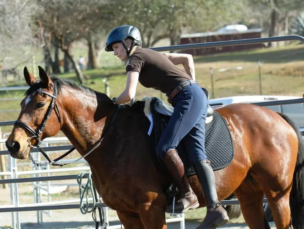 Zdjęcie Jak wsiadać na konia: unikaj błędów i wsiadaj bezpiecznie