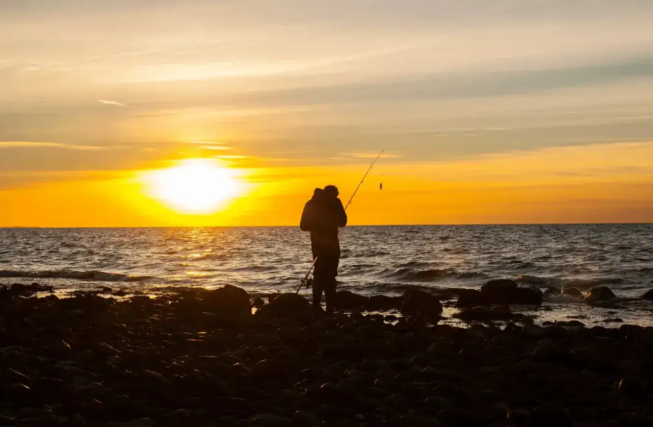 Zdjęcie Kiedy łowić śledzie w Bałtyku? Odkryj najlepsze czasy i miejsca