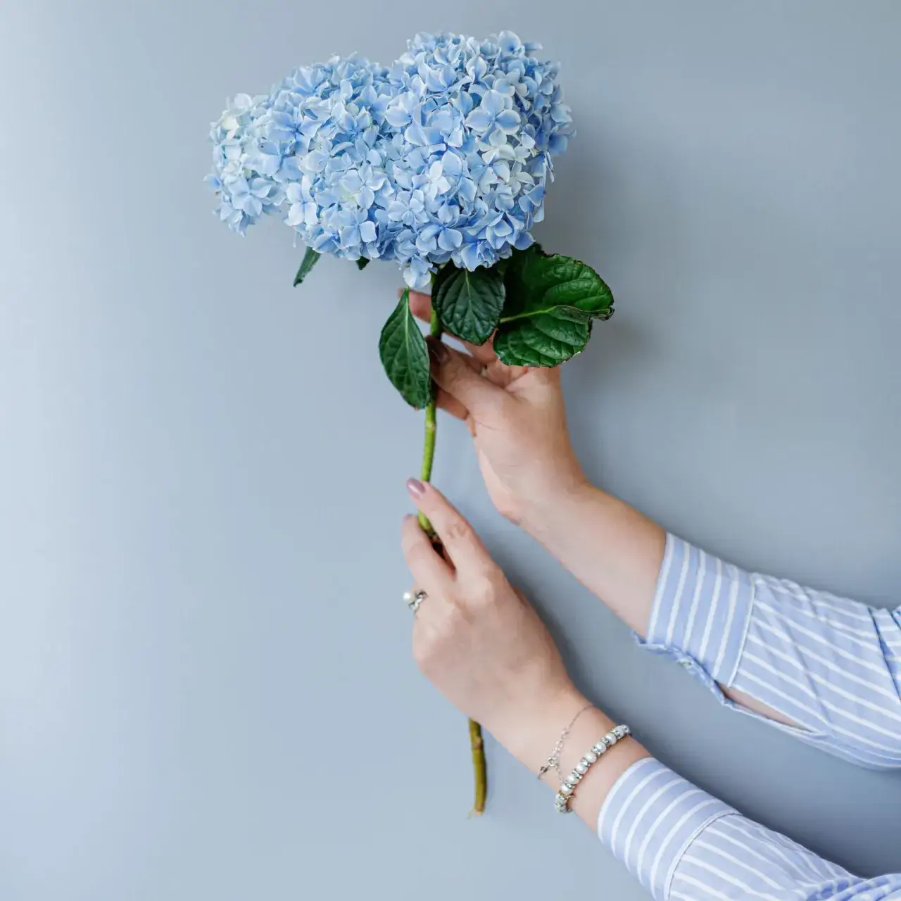 Zdjęcie Czy chrzestna kupuje kwiaty na komunię? Oto, co warto wiedzieć