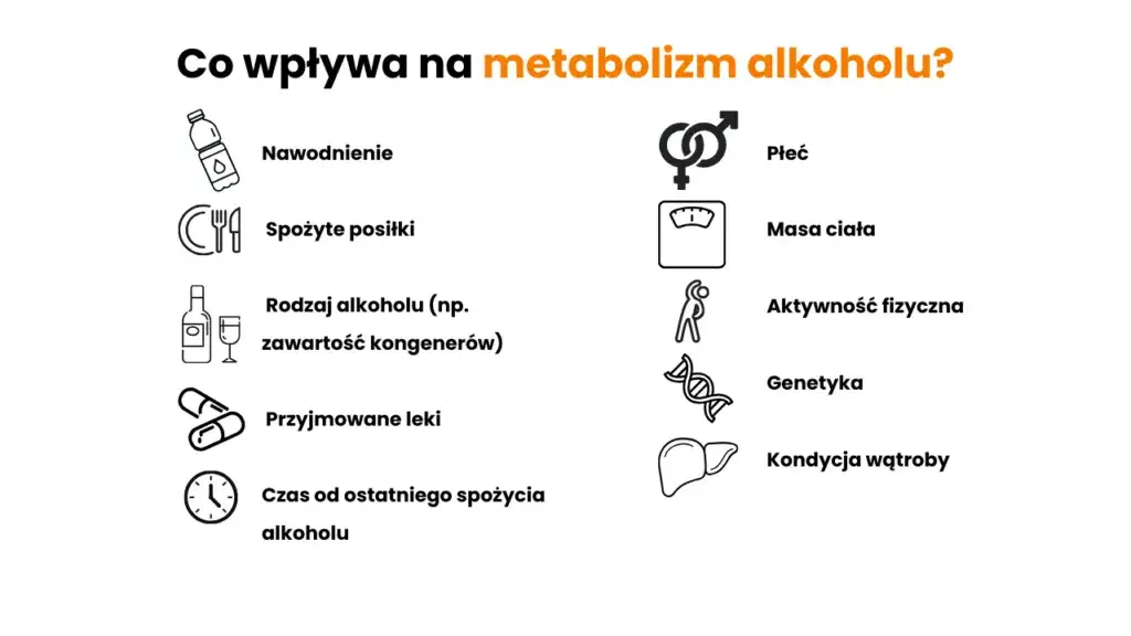 Zdjęcie Ile czasu schodzi piwo? Poznaj prawdę o metabolizmie alkoholu