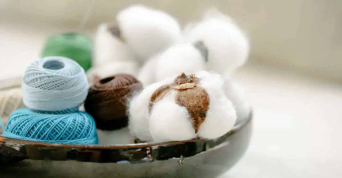 Zdjęcie Jakie kury znoszą zielone jajka? Opis ras i ich cechy szczególne