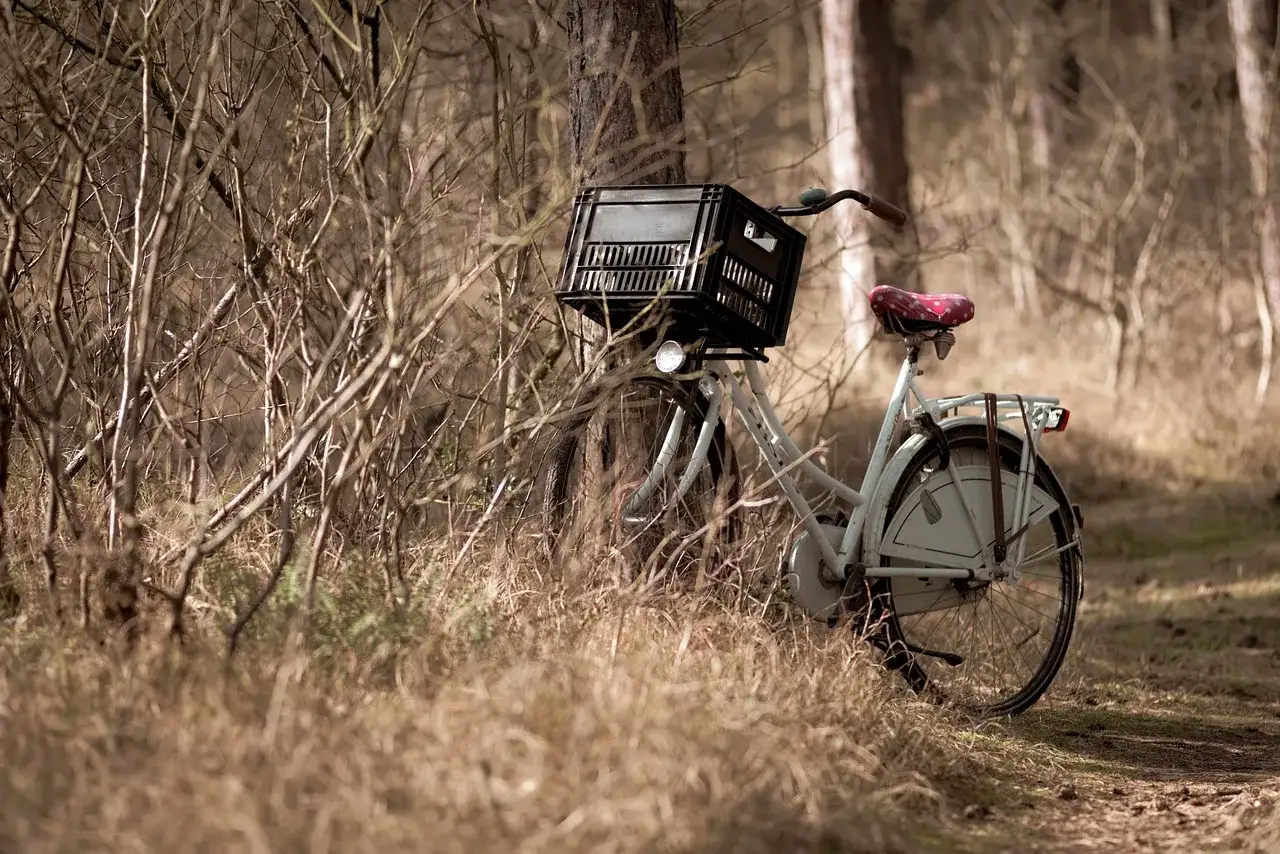 Zdjęcie Słowiński Park Narodowy trasy rowerowe – odkryj piękne szlaki i wyzwania