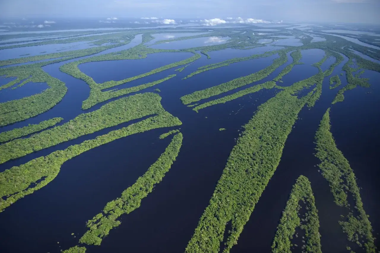 Zdjęcie Kto odkrył źródła amazonki? Zaskakujące fakty o tej podróży