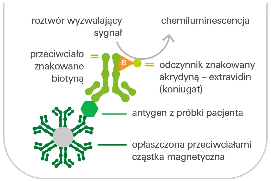 Zdjęcie Metoda CLIA: jak działa i dlaczego jest tak ważna w diagnostyce?
