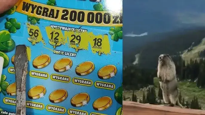 Zdjęcie W których zdrapkach wygrywa się najczęściej? Odkryj najlepsze opcje