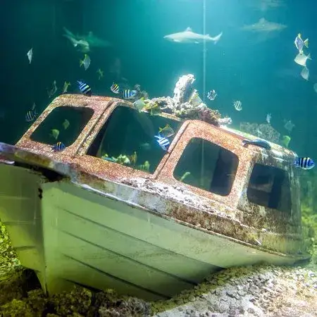 Zdjęcie Oceanarium Zagnańsk - Fascynujące gatunki i atrakcje czekają na Ciebie