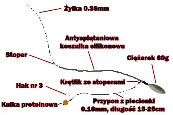 Zdjęcie Jak uzbroić wędkę na karpia - skuteczne metody i tajniki połowu