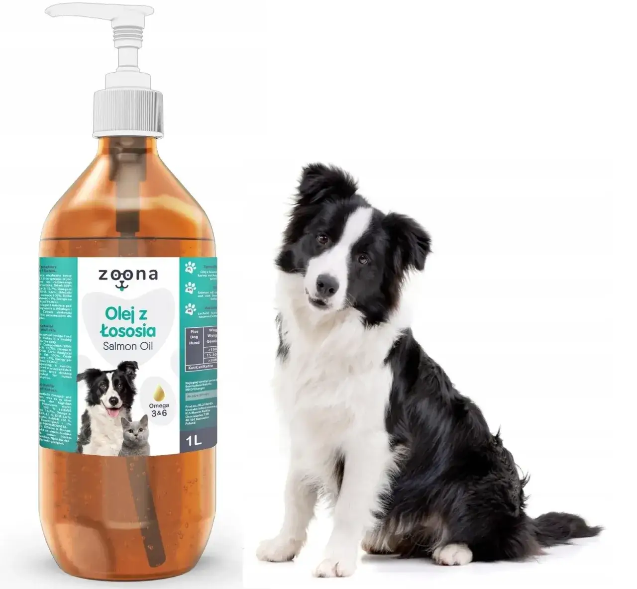 Zdjęcie Olej z łososia dla psa od jakiego wieku? Sprawdź, co musisz wiedzieć