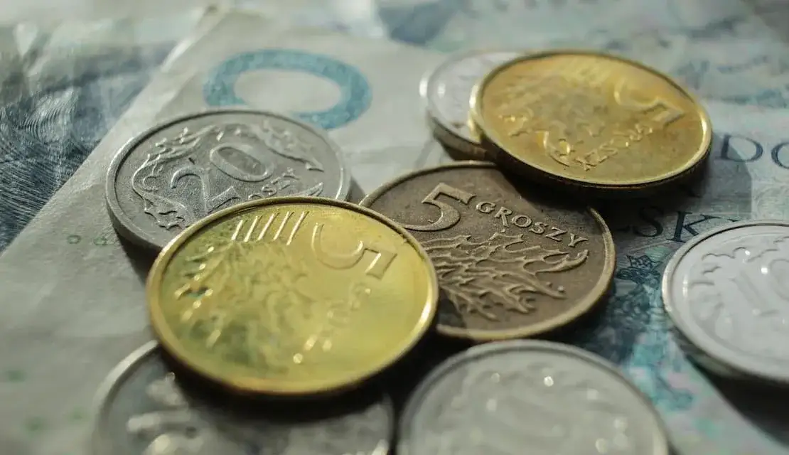 Zdjęcie Ile płaci opiekun osoby niepełnosprawnej za bilet: Pełny poradnik ulg