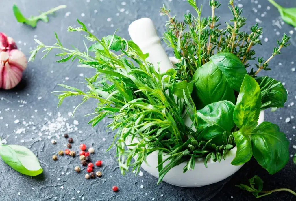 Zdjęcie 10 najlepszych blogów o ziołach: wiedza o ziołolecznictwie