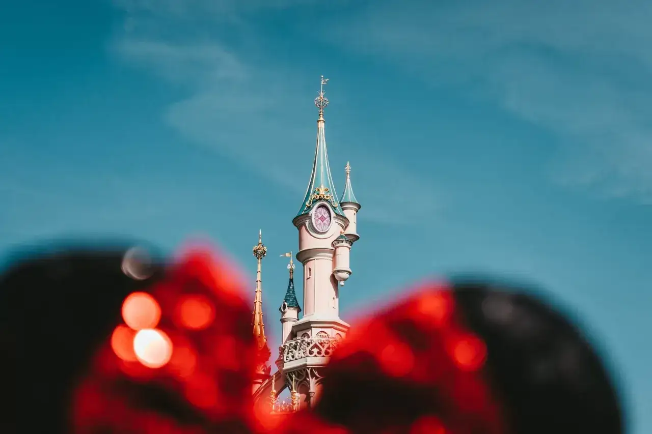 Zdjęcie Czego nie można wnosić do Disneylandu – uniknij problemów na wejściu