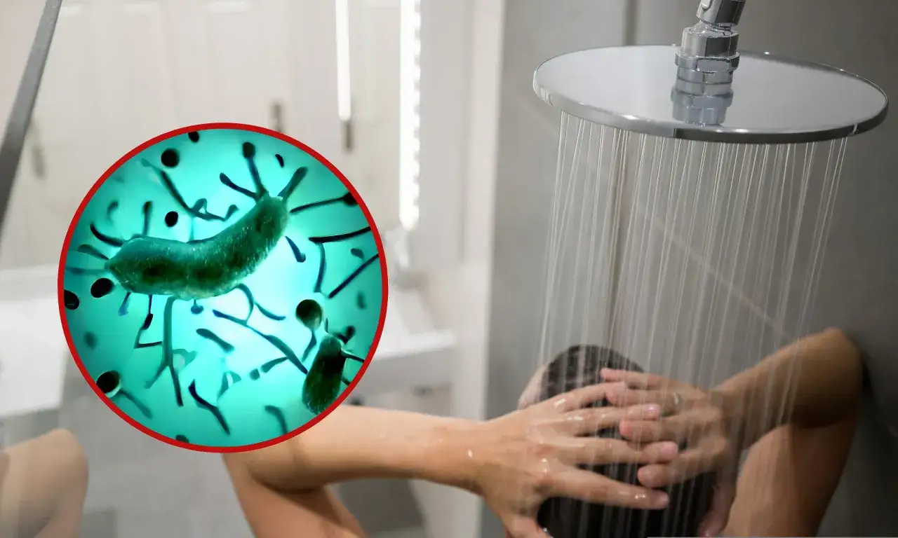 Zdjęcie Legionella skąd się bierze i jak się jej wystrzec w codziennym życiu