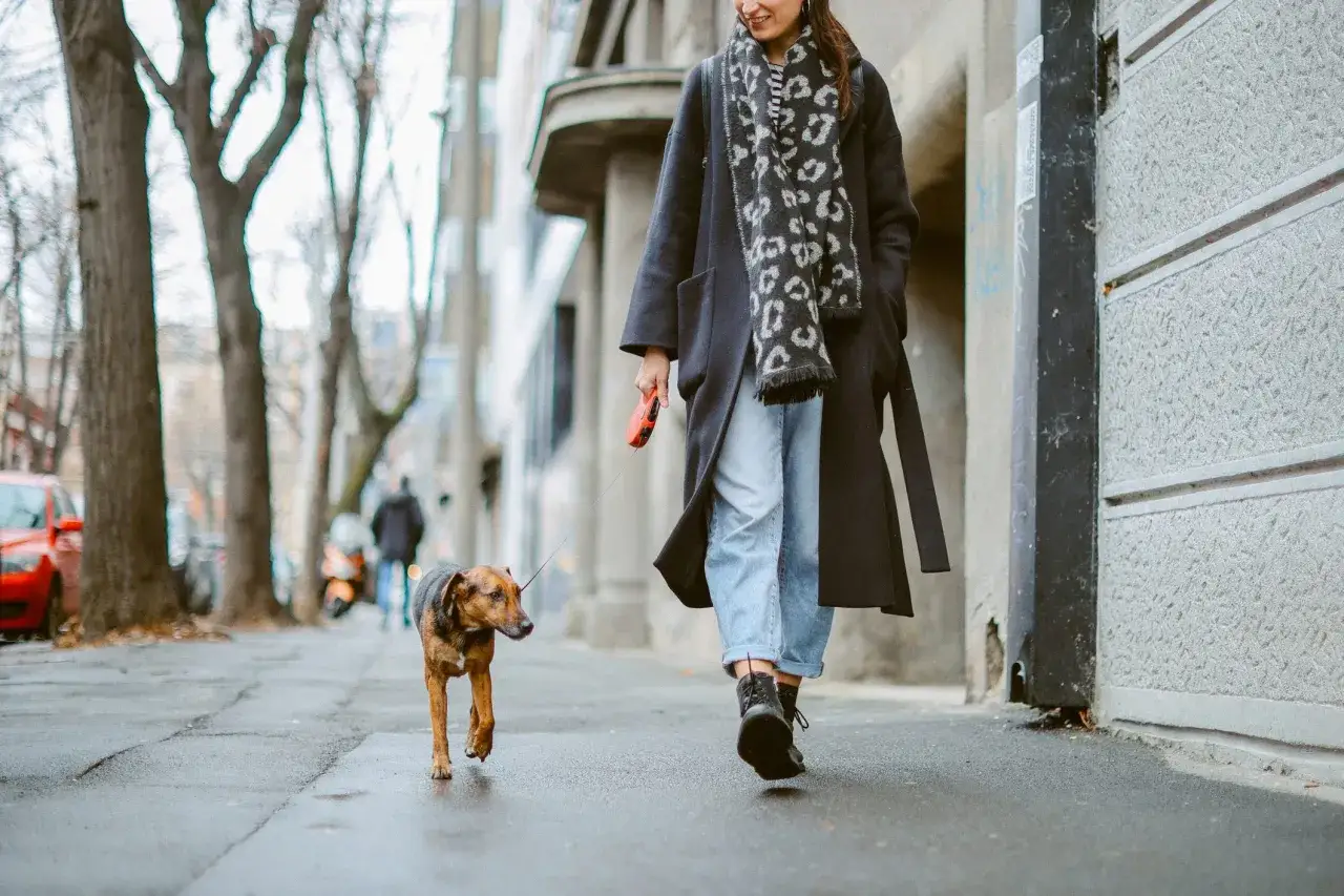 Zdjęcie Ile kalorii spala spacer? Zobacz, jak skutecznie schudnąć