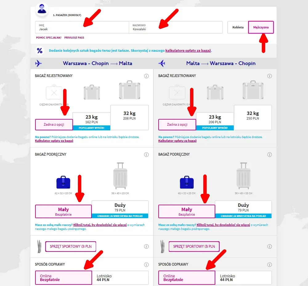 Zdjęcie Jak zamówić bilet w Wizz Air - proste kroki, aby uniknąć problemów