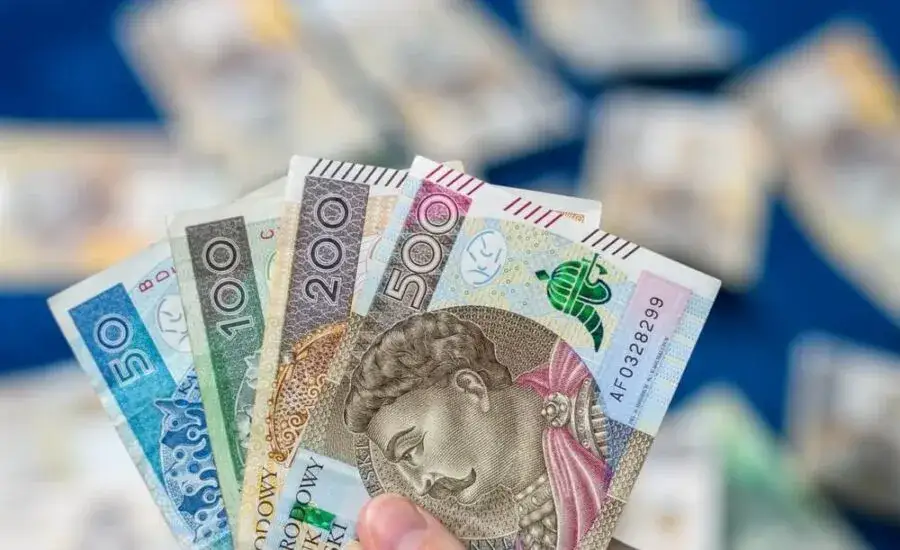 Zdjęcie Co może zabrać komornik osobie niepełnosprawnej? Ochrona przed zajęciem