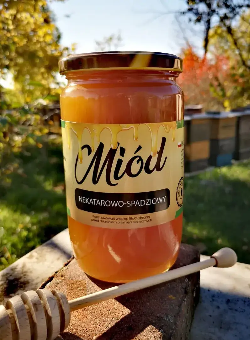Zdjęcie Miód nektarowo-spadziowy: na co pomaga i jak wzmocnić zdrowie naturalnie