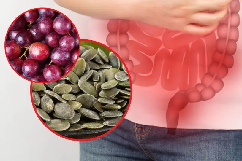 Zdjęcie Czego unikać przed badaniem kału, aby wyniki były wiarygodne i dokładne