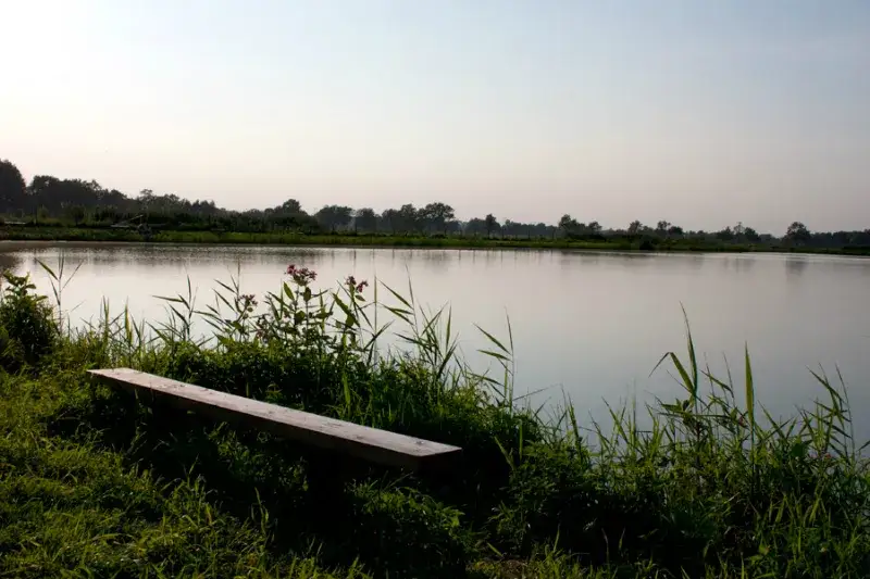 Zdjęcie Cennik łowiska pod borem: poznaj ceny i warunki rezerwacji