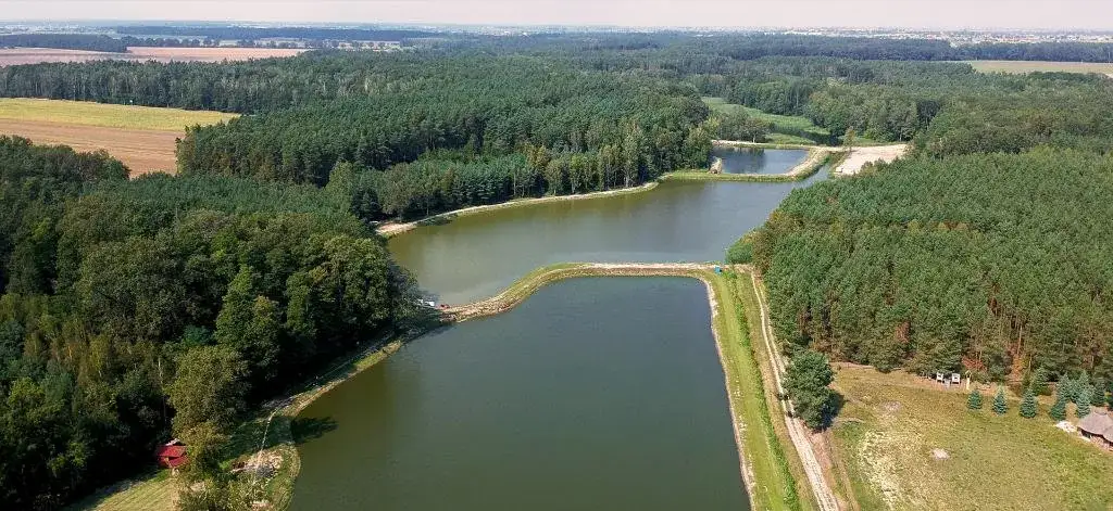 Zdjęcie Łowisko Maślanka Psary - wszystko, co musisz wiedzieć o wędkowaniu