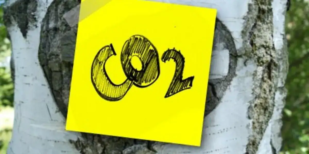 Zdjęcie Emisja CO2 na mieszkańca w Polsce: alarmujące dane i porównania