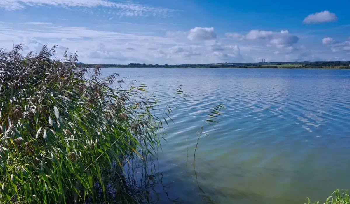 Zdjęcie Jezioro Lucieńskie - odkryj jego piękno i atrakcje w okolicy