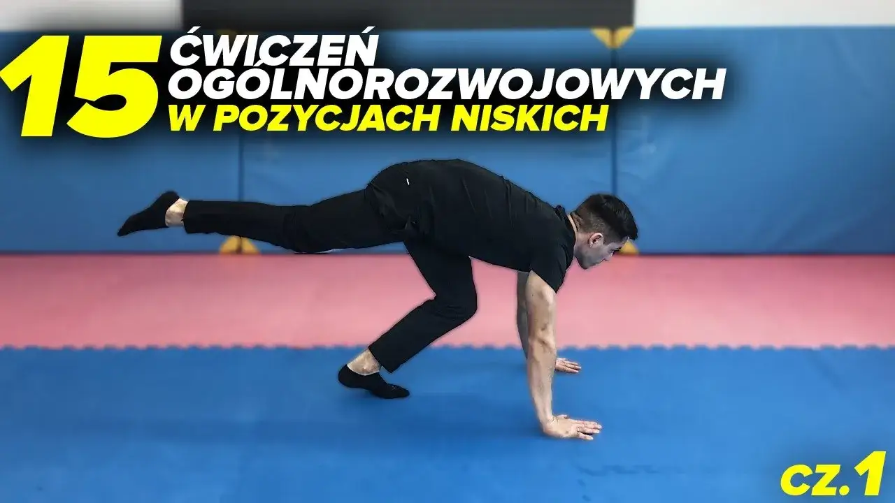 Zdjęcie Jakie są ćwiczenia gimnastyczne i jak je wykonywać bez kontuzji