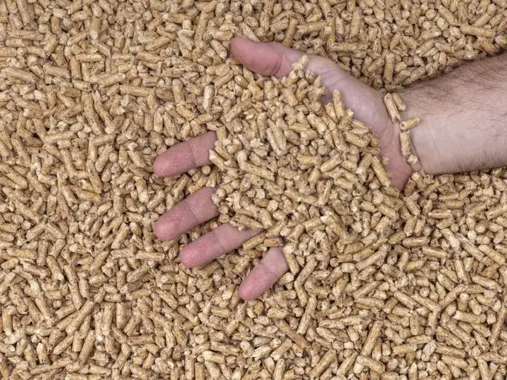 Zdjęcie Co to znaczy pellet? Zrozumienie paliwa ekologicznego i jego zastosowań