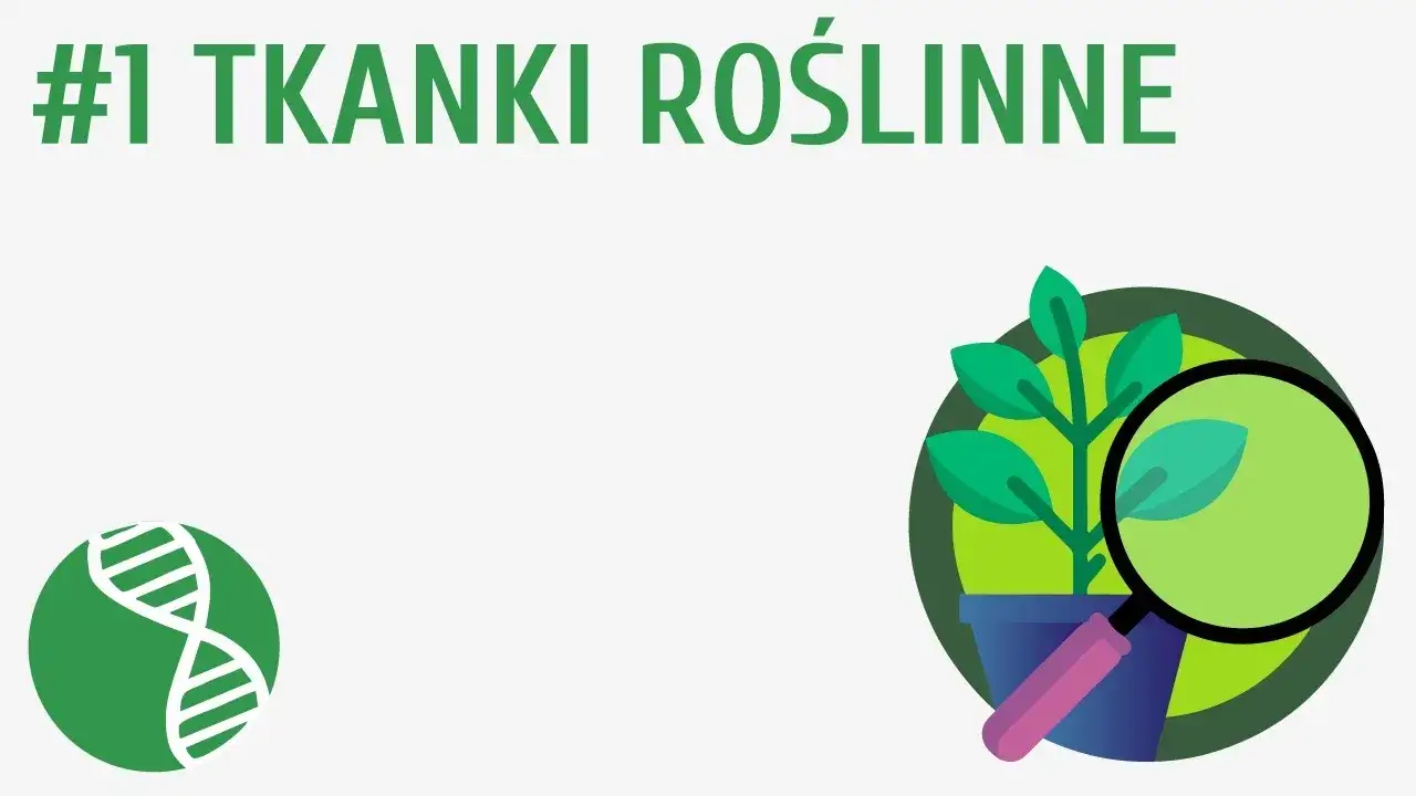 Zdjęcie Tkanka roślinna - co to jest, jej rodzaje i kluczowe funkcje