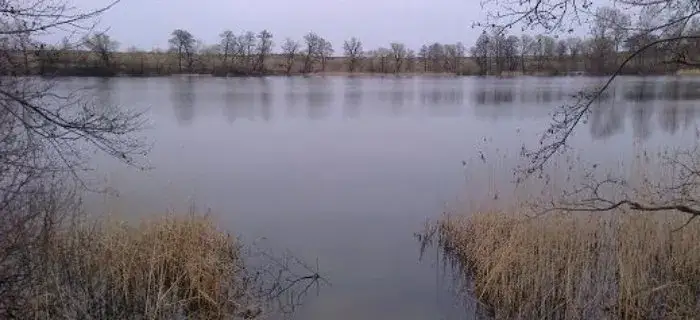 Zdjęcie Jezioro Grójeckie - raj dla wędkarzy z bogatym łowiskiem sandaczowym