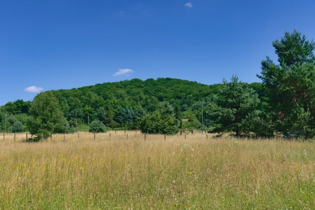 Zdjęcie Rezerwat przyrody Góra Chełm - tajemnice i atrakcje w naturze