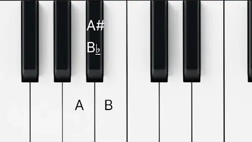 Zdjęcie Jak zagrać solo na keyboardzie? 5 wskazówek dla początkujących
