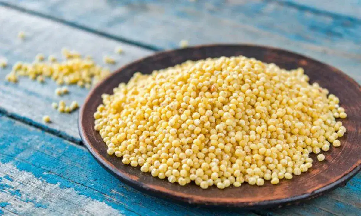 Zdjęcie Ile kalorii ma kasza jaglana: wszystko o kaloryczności i wartościach odżywczych