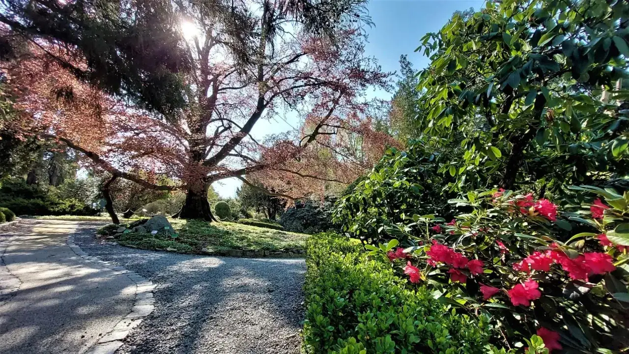 Zdjęcie Kiedy jechać do arboretum Wojsławice, aby nie przegapić piękna?