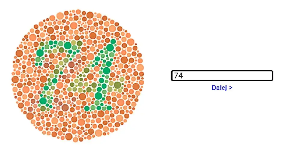 Zdjęcie Jak wygląda badanie psychologiczne kierowcy i co warto wiedzieć?
