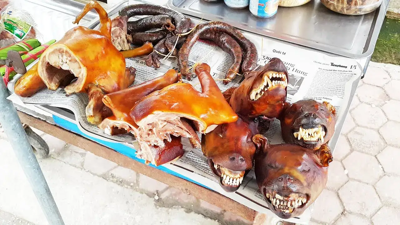 Zdjęcie W jakim kraju jedzą psy? Zaskakujące tradycje i kontrowersje