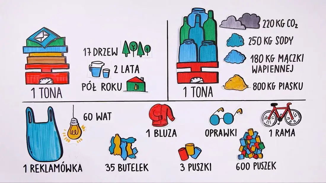 Zdjęcie Zaskakujące ciekawostki ekologiczne - fakty, które zmienią twoje życie