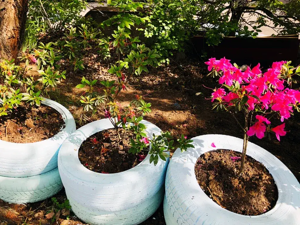 Zdjęcie Jak zrobić skalniak z opon - proste kroki do ekologicznego ogrodu