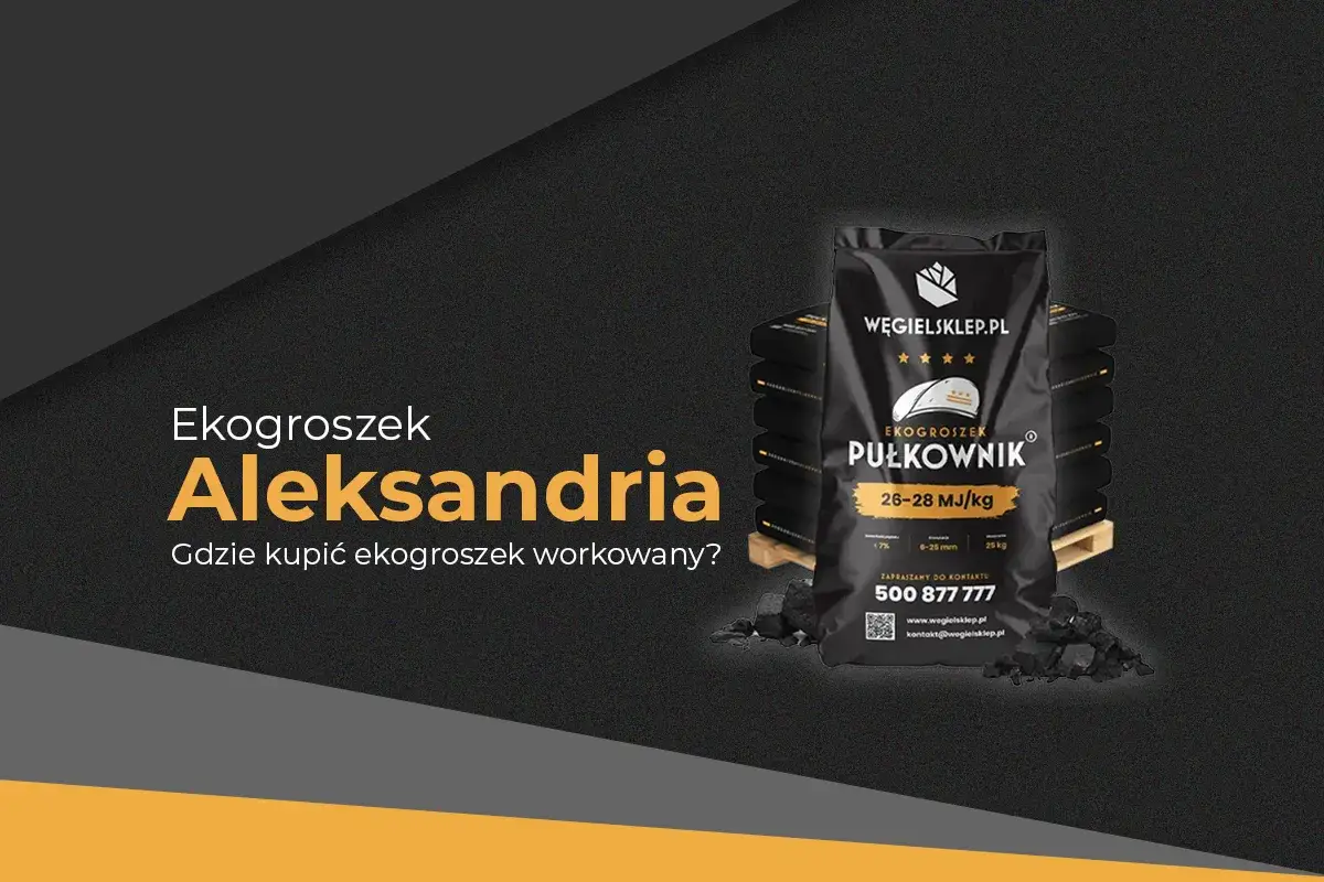 Zdjęcie Groszek premium: Jak kupić idealny opał i uniknąć błęd&oacute;w?