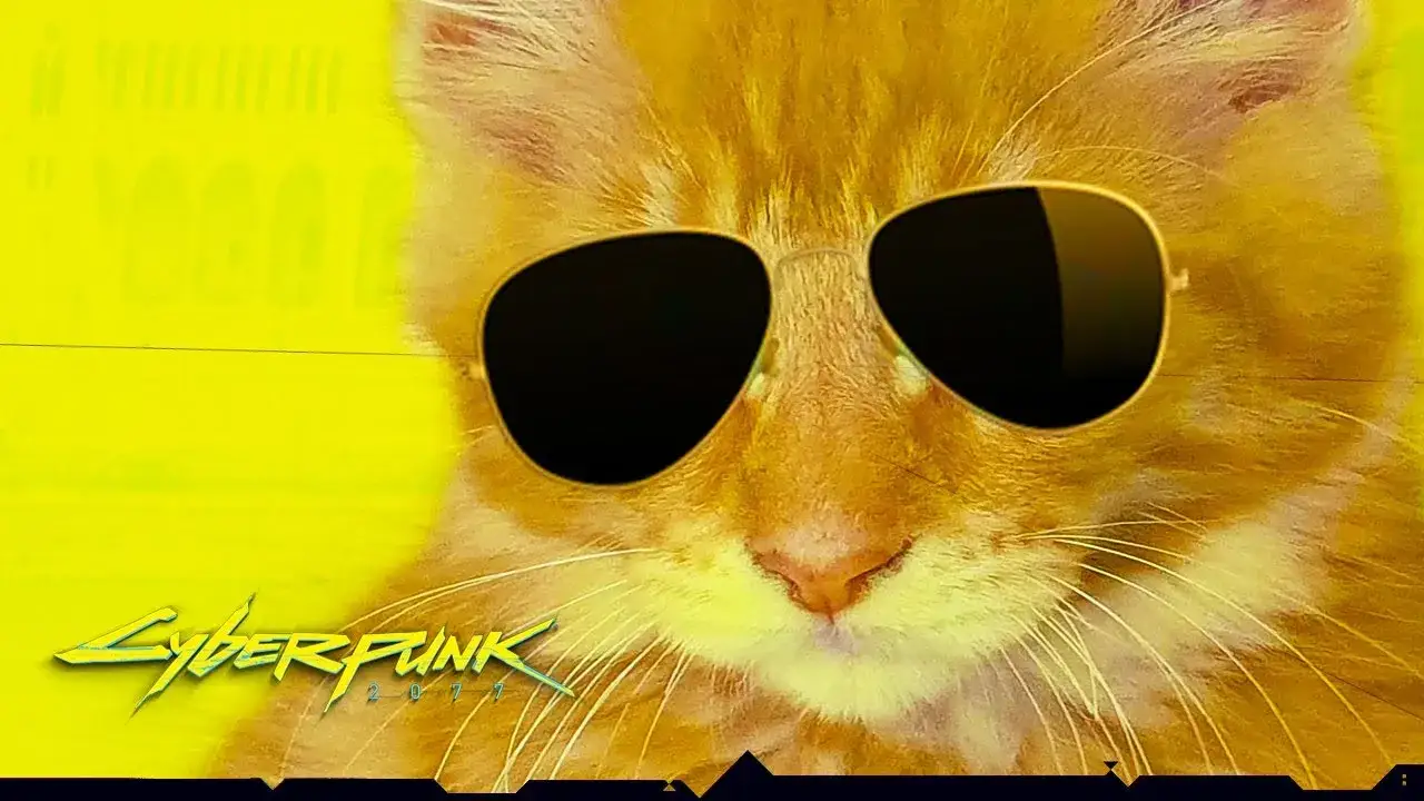 Zdjęcie Jak adoptować kota Nibbles w Cyberpunk 2077 i cieszyć się z towarzystwa