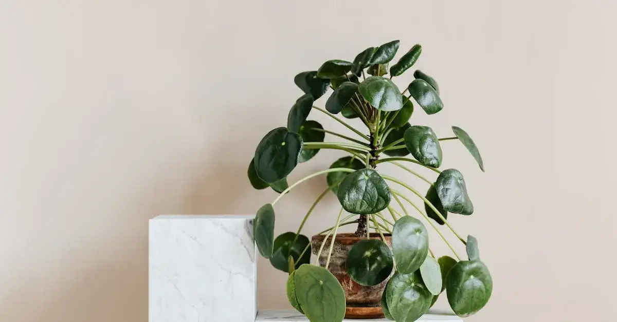 Zdjęcie Poręcz Drewniana na Schody: Bezpieczeństwo i Styl w Twoim Domu