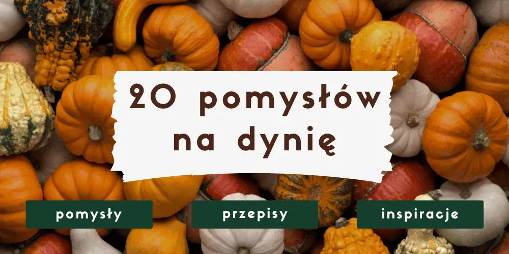 Zdjęcie Co z dyni na obiad? Proste i smaczne przepisy na każdą okazję