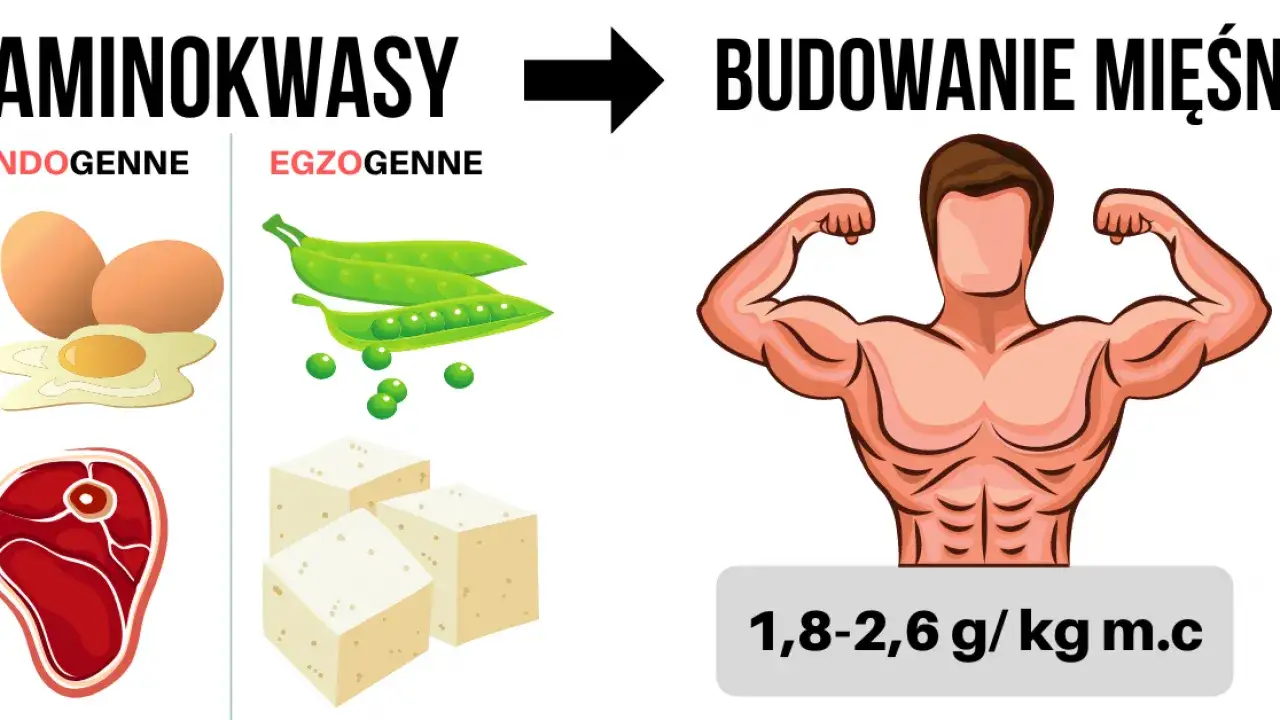 Zdjęcie Ile gram białka po treningu? Odkryj optymalne ilości dla regeneracji