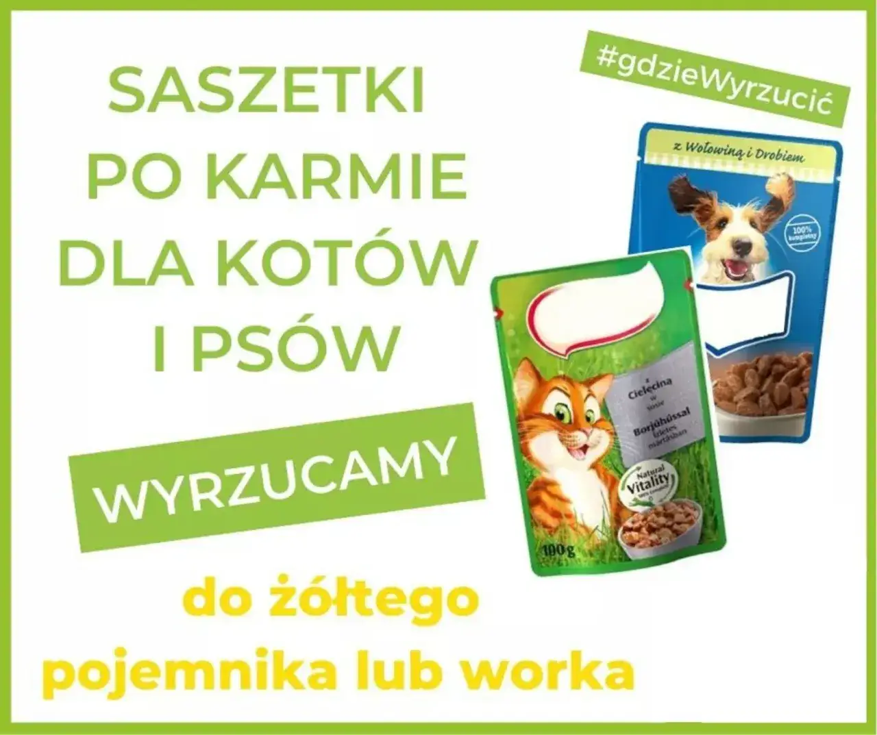 Zdjęcie Jak prawidłowo wyrzucić opakowanie po karmie dla kota - segregacja